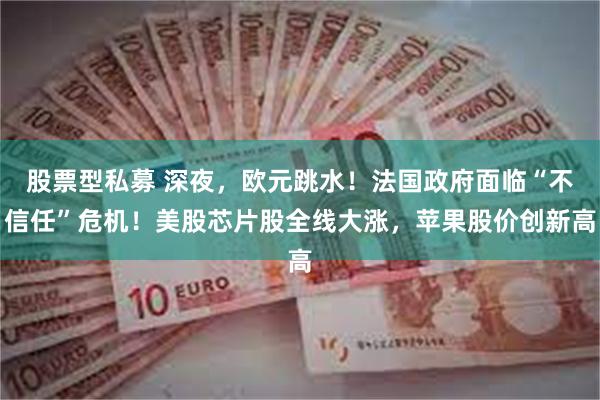 股票型私募 深夜，欧元跳水！法国政府面临“不信任”危机！美股芯片股全线大涨，苹果股价创新高