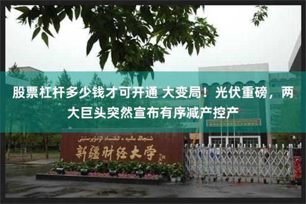 股票杠杆多少钱才可开通 大变局！光伏重磅，两大巨头突然宣布有序减产控产