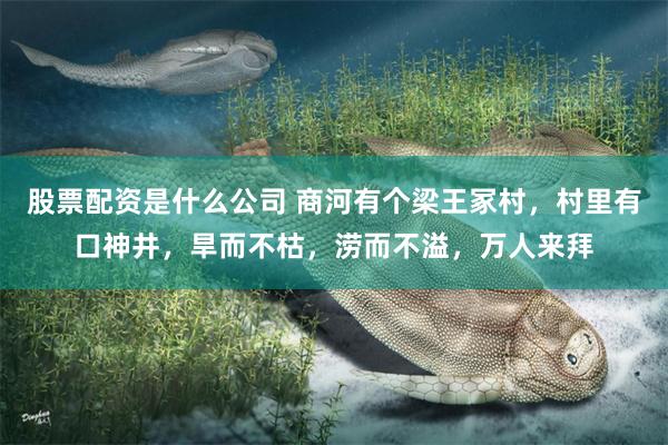 股票配资是什么公司 商河有个梁王冢村，村里有口神井，旱而不枯，涝而不溢，万人来拜