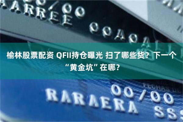 榆林股票配资 QFII持仓曝光 扫了哪些货？下一个“黄金坑”在哪？