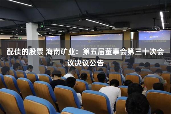 配债的股票 海南矿业：第五届董事会第三十次会议决议公告