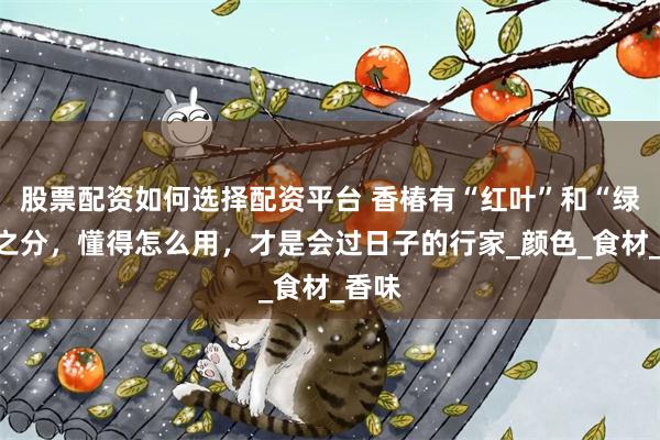 股票配资如何选择配资平台 香椿有“红叶”和“绿叶”之分，懂得怎么用，才是会过日子的行家_颜色_食材_香味