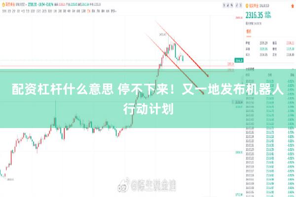 配资杠杆什么意思 停不下来！又一地发布机器人行动计划