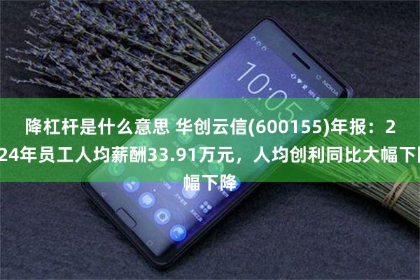 降杠杆是什么意思 华创云信(600155)年报：2024年员工人均薪酬33.91万元，人均创利同比大幅下降