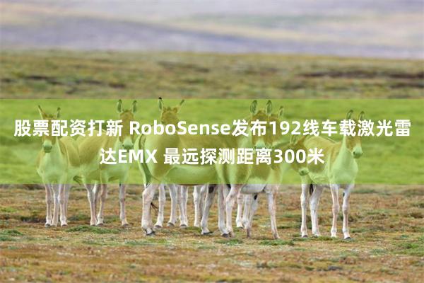 股票配资打新 RoboSense发布192线车载激光雷达EMX 最远探测距离300米