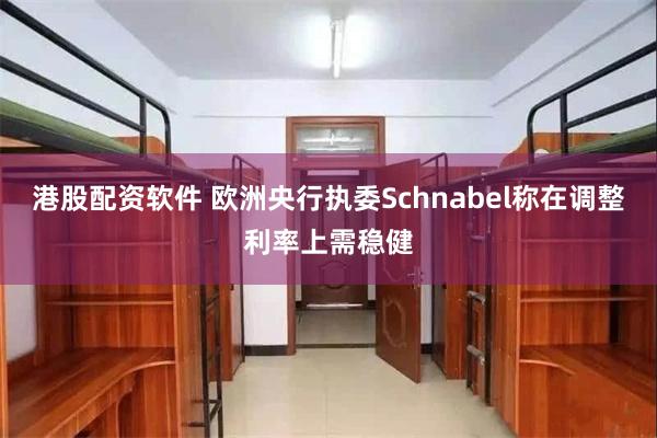 港股配资软件 欧洲央行执委Schnabel称在调整利率上需稳健