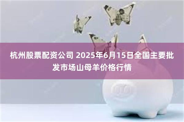 杭州股票配资公司 2025年6月15日全国主要批发市场山母羊价格行情